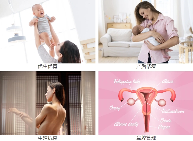 微信截图_20241008154105.png 微信截图_20241008154105.png