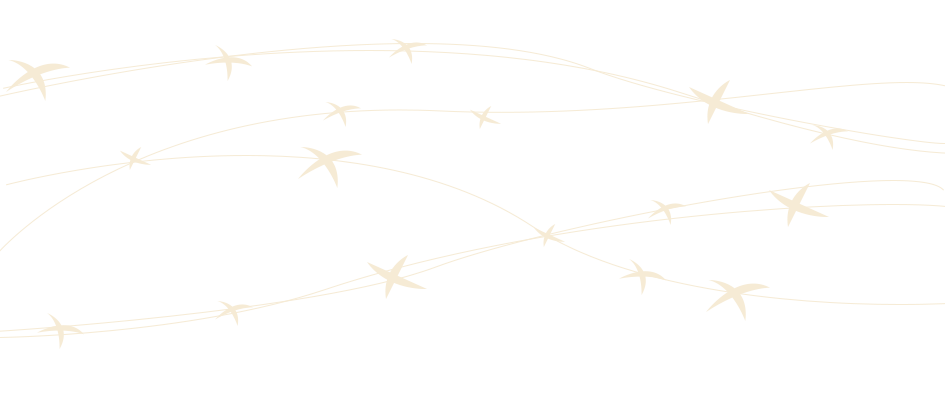 0f2b21b10237c5f5d9217747be9193aa.png 0f2b21b10237c5f5d9217747be9193aa.png