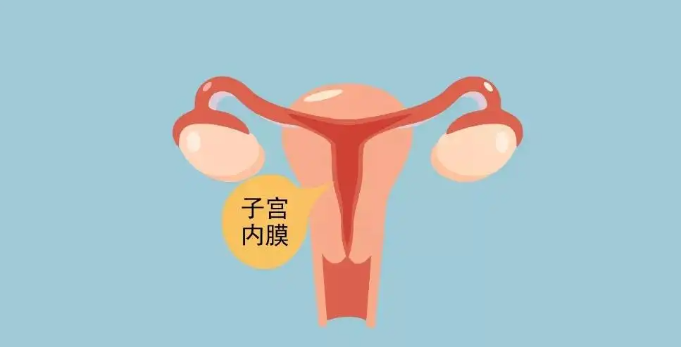 640.png 640.png