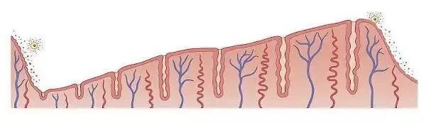 640.jpg 640.jpg