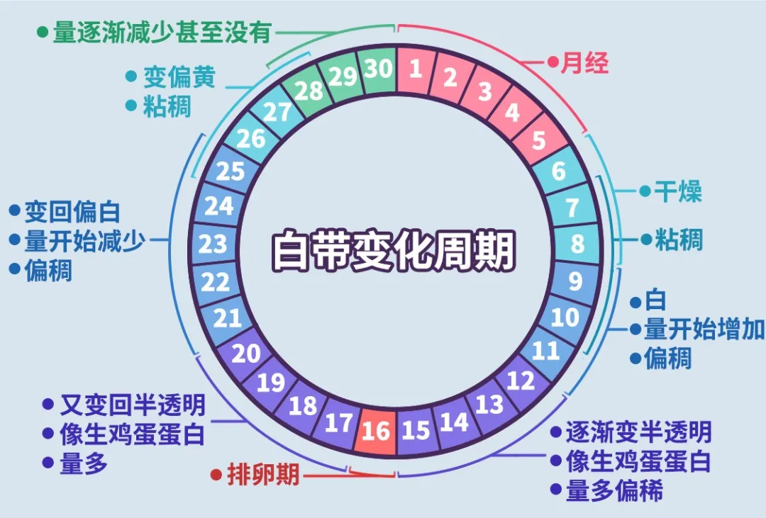 640 (5).png