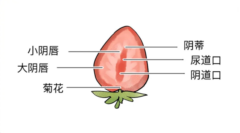 640.png