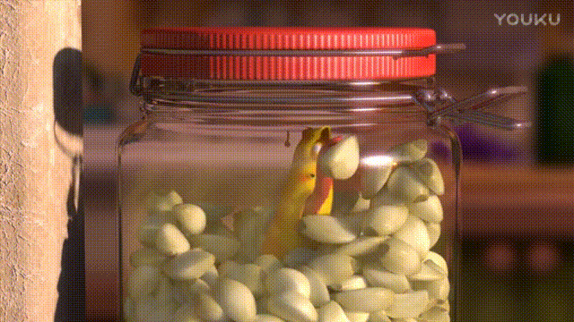 640 (6).gif